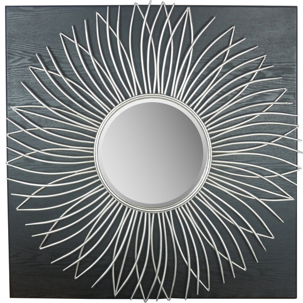 Pagani Decorative Mirror