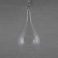 Azelea W/ Hole Glass Vase