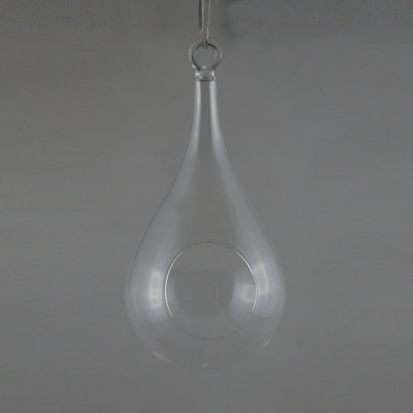 Azelea W/ Hole Glass Vase