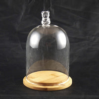 Cloche Wooden Dome Vase